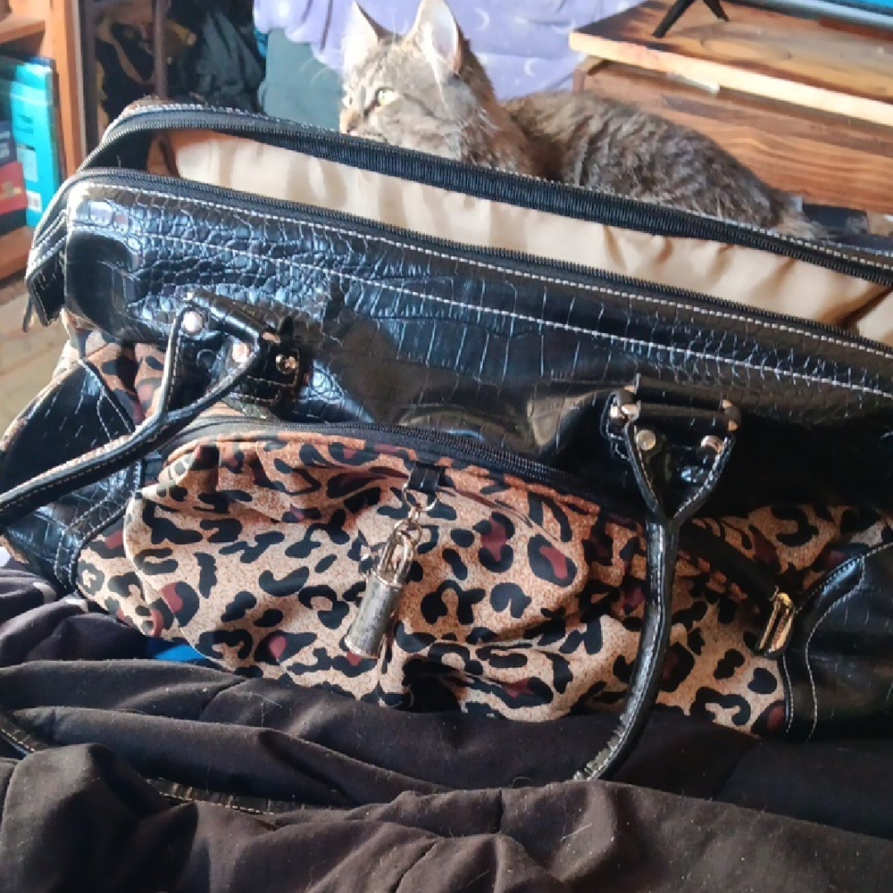 2008 Travelon Leapord Print Travel Bag
